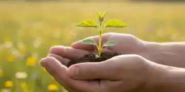 Hands gently holding a small green plant, symbolizing gratitude and growth.